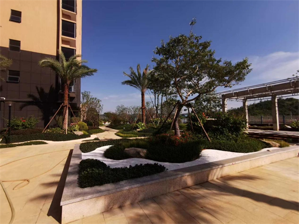 小区景观绿化施工