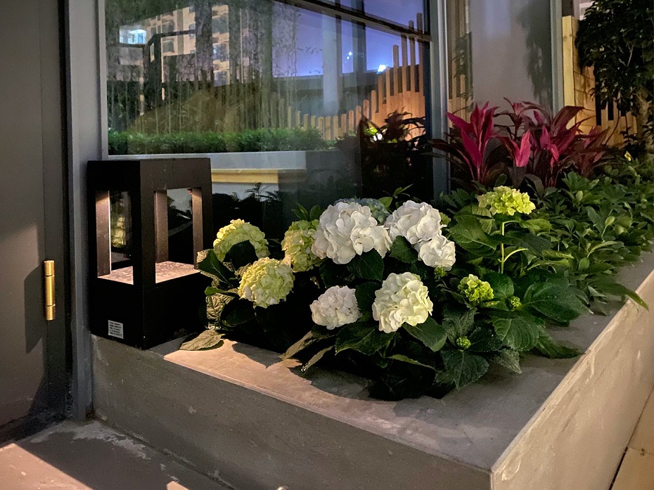 兰润办公区室外庭院景观设计