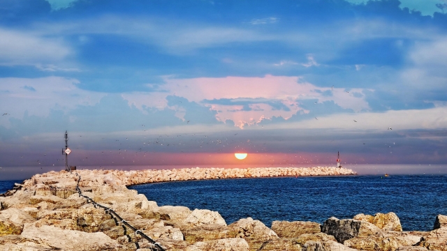 威斯尼斯集团：园林绿化两棵树距离多少米