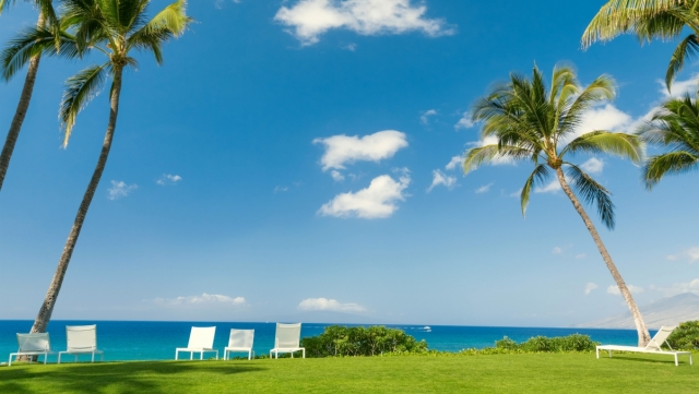 威斯尼斯公司：园林绿化药物防治措施