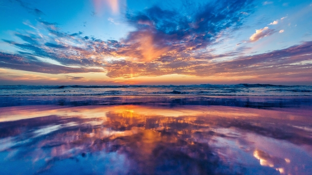 wns8888集团：园林绿化的外来树种