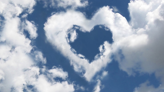 威斯尼斯集团：园林绿化做什么的