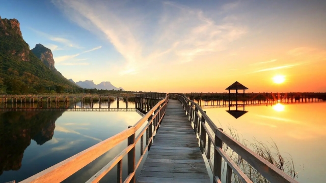 威斯尼斯公司：园林绿化一平米需要多少水