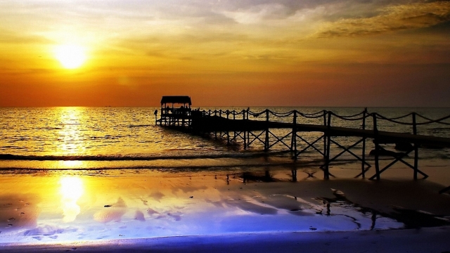 澳门威斯尼斯：园林绿化的后期养护