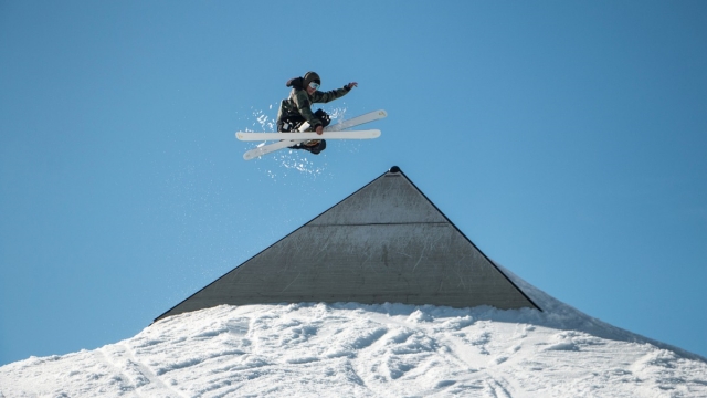 园林绿化常青材料