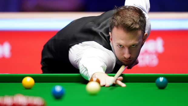 wns8888集团：园林绿化上的树