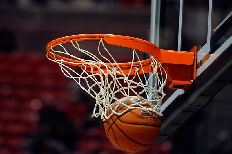 威斯尼斯集团：园林绿化疾病