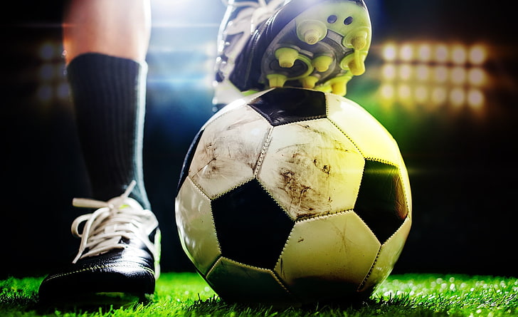 澳门威斯尼斯：园林绿化的主要做法