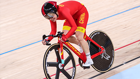 wns8888集团：园林绿化取得成果